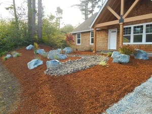 Tillamook County Landscape Bark